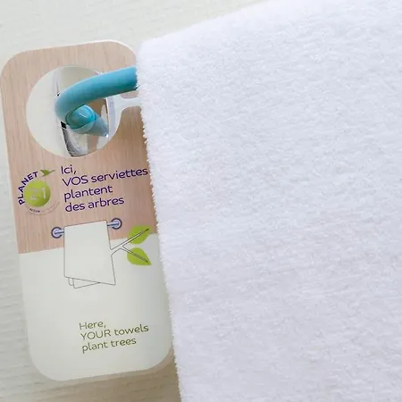 فندق Ibis Budget Centre Gare Et Congres تور